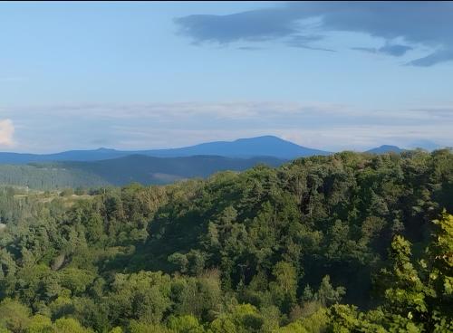an aerial view of a forest with mountains in the background at La Vallée De La Loire in Solignac-sur-Loire