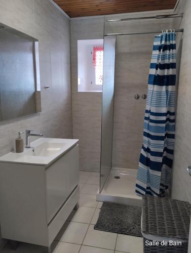 a bathroom with a shower and a sink and a shower curtain at La Vallée De La Loire in Solignac-sur-Loire
