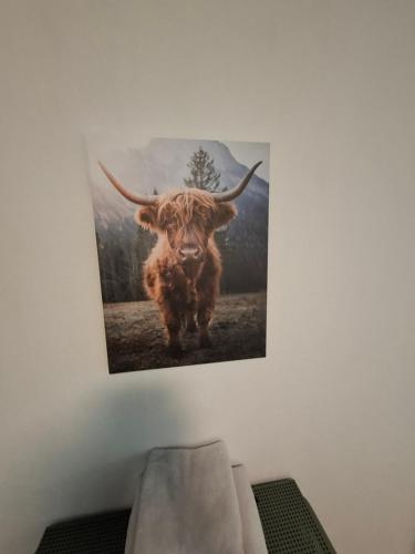 a picture of a bull with horns on a wall at Hochwald chalet in Bad Sachsa