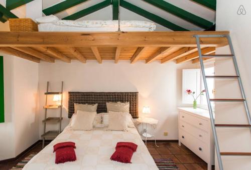 1 dormitorio con cama elevada y escalera en Tradicional Oasis Sevillano, en Sevilla