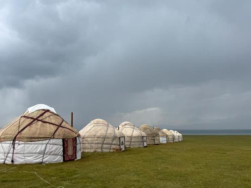 One Million Stars Yurt camp