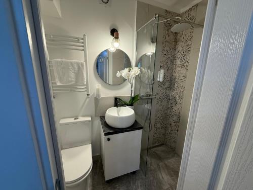 een badkamer met een wastafel, een toilet en een spiegel bij Candy-Bombon Sibiu in Sibiu