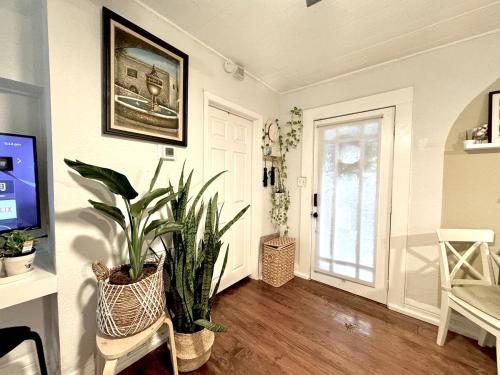 a living room with a potted plant and a door at Entire cottage in Tampa in Tampa