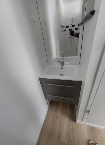 une salle de bain avec un lavabo et un miroir dans l'établissement Appartement Rdc, Morgat Plage, à Crozon