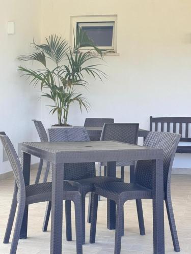 a dining room table and chairs with a potted plant at Galaxy Rooms Tropea in Drapia
