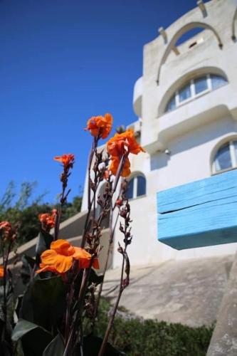 a group of orange flowers in front of a building at Casa Vacanze Elianto in Anzio