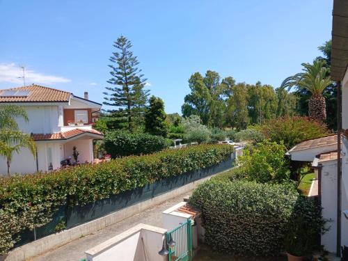arial view of a yard with bushes and trees at La casa di ale in Latina