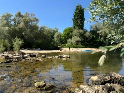 a body of water with a beach and trees at Castel Rochefort sur Nenon Jura in Rochefort-sur-Nenon