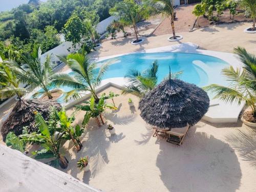 an overhead view of a swimming pool with umbrellas and palm trees at Mfumbwi Twins Villa in Jambiani