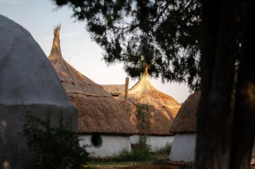 a group of huts with thatched roofs at La Colibe, cătun arhaic ecologic in Constanţa