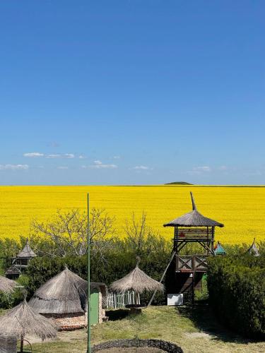 a field of yellow rapeseed with a gazebo and hay roofs at La Colibe, cătun arhaic ecologic in Constanţa