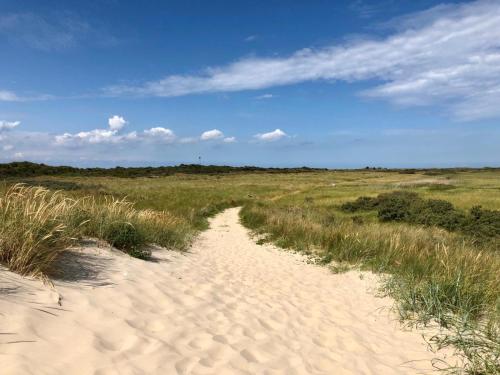 a sandy path through a field of grass on a beach at Rosenhuus in Langeoog