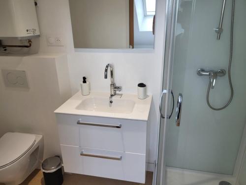une salle de bain blanche avec un lavabo et une douche dans l'établissement Cocon sous les toits, à Dinan