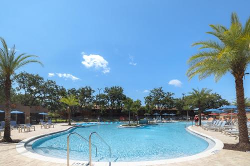 a pool at a resort with palm trees and chairs at Westgate River Ranch Resort & Rodeo in River Ranch