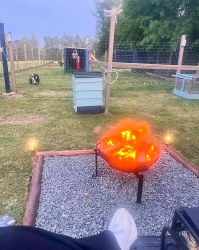 a fire pit in a backyard with a dog at Lakeview Petting Pod in Chelmsford