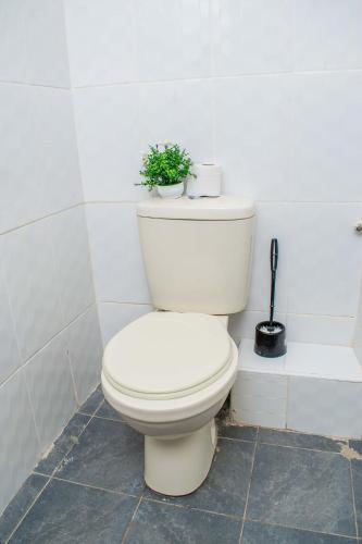 eine weiße Toilette mit einer Pflanze darauf in der Unterkunft Hamptons Homes Stylish 1 Bedroom Stay close to Eldoret Town in Eldoret
