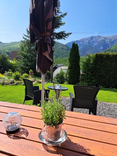 a wooden table with an umbrella and a potted plant on it at Penzion Havran in Ždiar