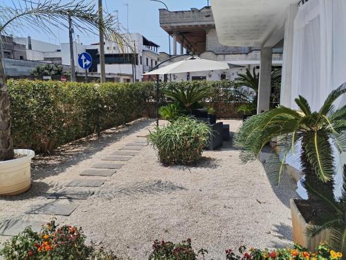 a courtyard with plants and an umbrella in a building at B&B Aquavia in Porto Cesareo