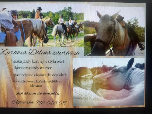 a collage of pictures of people riding horses at Hubertówka domek drewniany in Porost