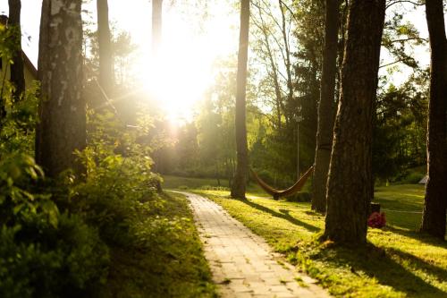 a path in a park with the sun shining through trees at Hubertówka domek drewniany in Porost