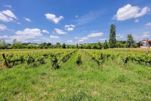 Taman di luar Le gîte de la Grappe - Terrasse - Gaillac