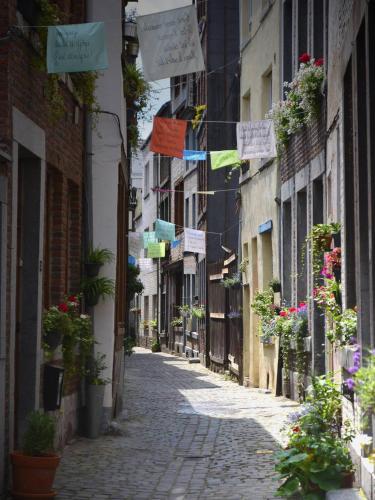 an alley in an old town with signs and plants at La renaissance in Villers-lʼÉvêque