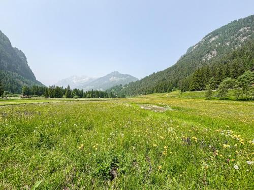 a field of grass with mountains in the background at Chalet Vernel in Canazei