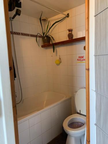 une salle de bain avec baignoire et toilettes dans l'établissement Magnifique appartement Voltaire, à Paris