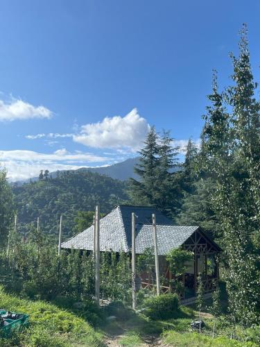a house in the middle of a field with trees at The Nest Farm Stay in Karsog in Karsog