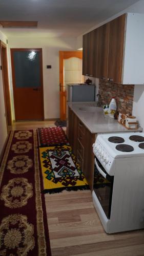 a kitchen with a stove and a counter top at Motina River Guesthouse in Tropojë