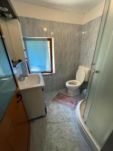 a bathroom with a toilet and a sink and a shower at Motina River Guesthouse in Tropojë