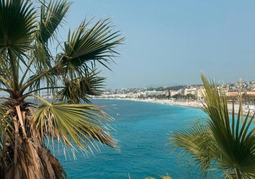 a view of a beach with a palm tree at Spacieux et Moderne T2 - Hyper Centre in Nice