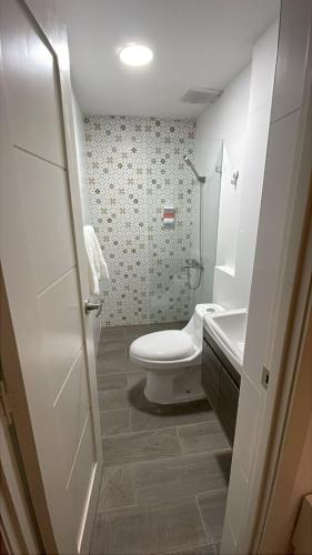 a white bathroom with a toilet and a sink at Hotel Boutique Brisas Colonial in Santo Domingo