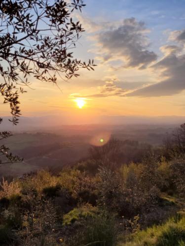 a sunset from the top of a hill with the sun setting at Tertulia Coliving Coworking in Ampinana