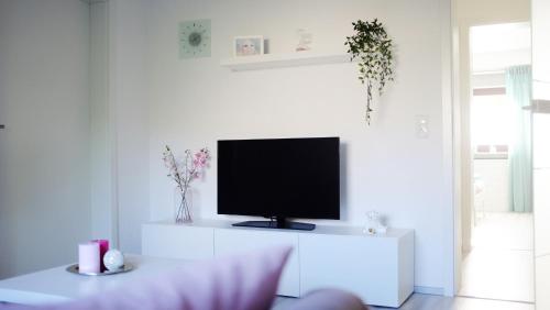 TV a/nebo společenská místnost v ubytování Manus Ferienwohnung