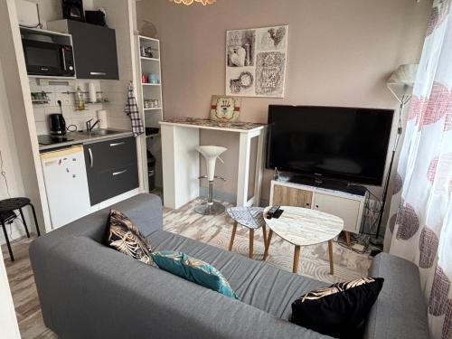 un salon avec un canapé gris et une télévision dans l'établissement Brest Saint-Marc : appart T1 bis bien situé wifi, à Brest