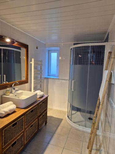 un bagno con lavandino e doccia di Les gîtes d'Herquetot -"Les Genêts" a Vasteville