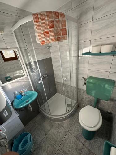 a bathroom with a shower and a toilet and a sink at Hátsó Udvar Kuckó in Kunfehértó