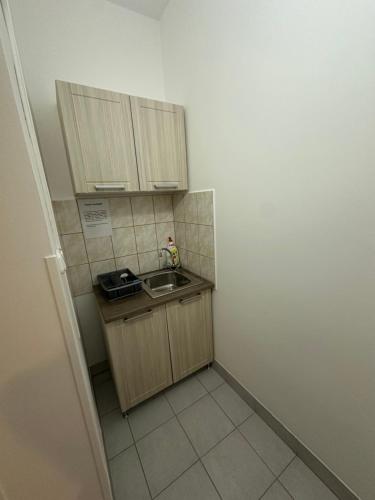 a small kitchen with a sink and wooden cabinets at Hátsó Udvar Kuckó in Kunfehértó