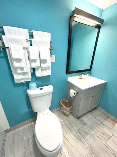 a bathroom with a toilet and a sink and a mirror at The Villager Motel in Bartlett
