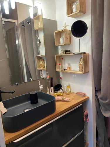 une salle de bain avec un lavabo et un miroir dans l'établissement Le Mas de Fabregas - 500 m de la plage, à La Seyne-sur-Mer