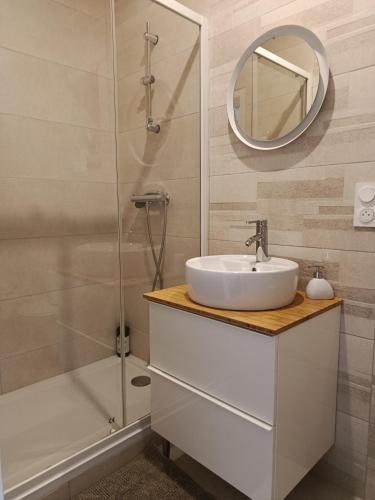 une salle de bain avec un lavabo et une douche dans l'établissement Appartement Hestia F1 bis + terrasse hyper centre, à Lons-le-Saunier