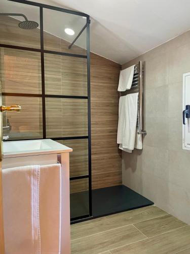 a bathroom with a shower and a sink at Apartamentos Pico Almanzor in Hoyos del Espino