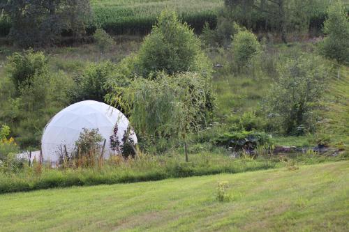 a large white greenhouse in a field of grass at Le printemps, gîte nature in Bruyères