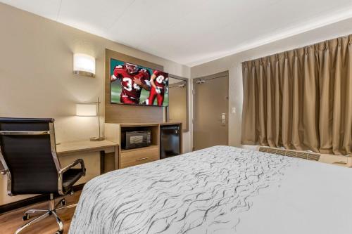 Postel nebo postele na pokoji v ubytování Red Roof Inn Bourbonnais