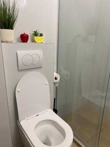 a bathroom with a toilet with a glass shower at Arena 011 in Novi Beograd