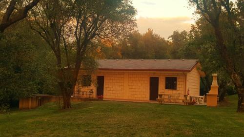 a small house in a yard with a tree at Green Park Hotel & Residence in Bagnara Calabra