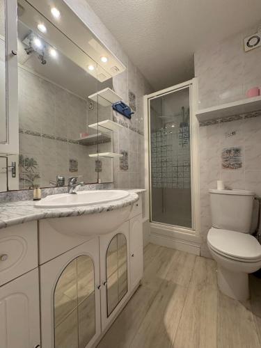 une salle de bain avec un lavabo, des toilettes et un miroir dans l'établissement Sunny Break Appartement près des plages, au Cap d'Agde
