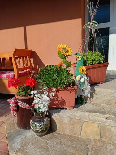 Zahrada ubytování Hársfa apartman