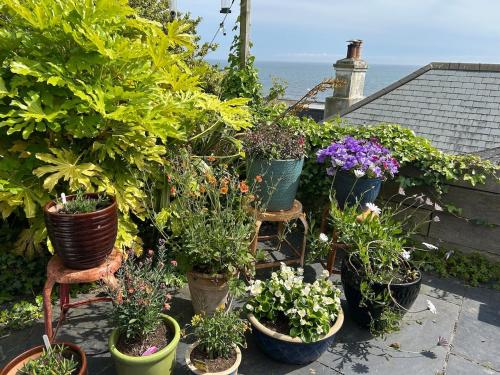 Een tuin van The View at Rosebank